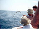 PCB Fishing Trip<br>August, 2001