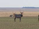 Nebraska Hunting Trip<br>November, 2006