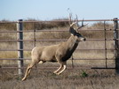 Nebraska Hunting Trip<br>November, 2015